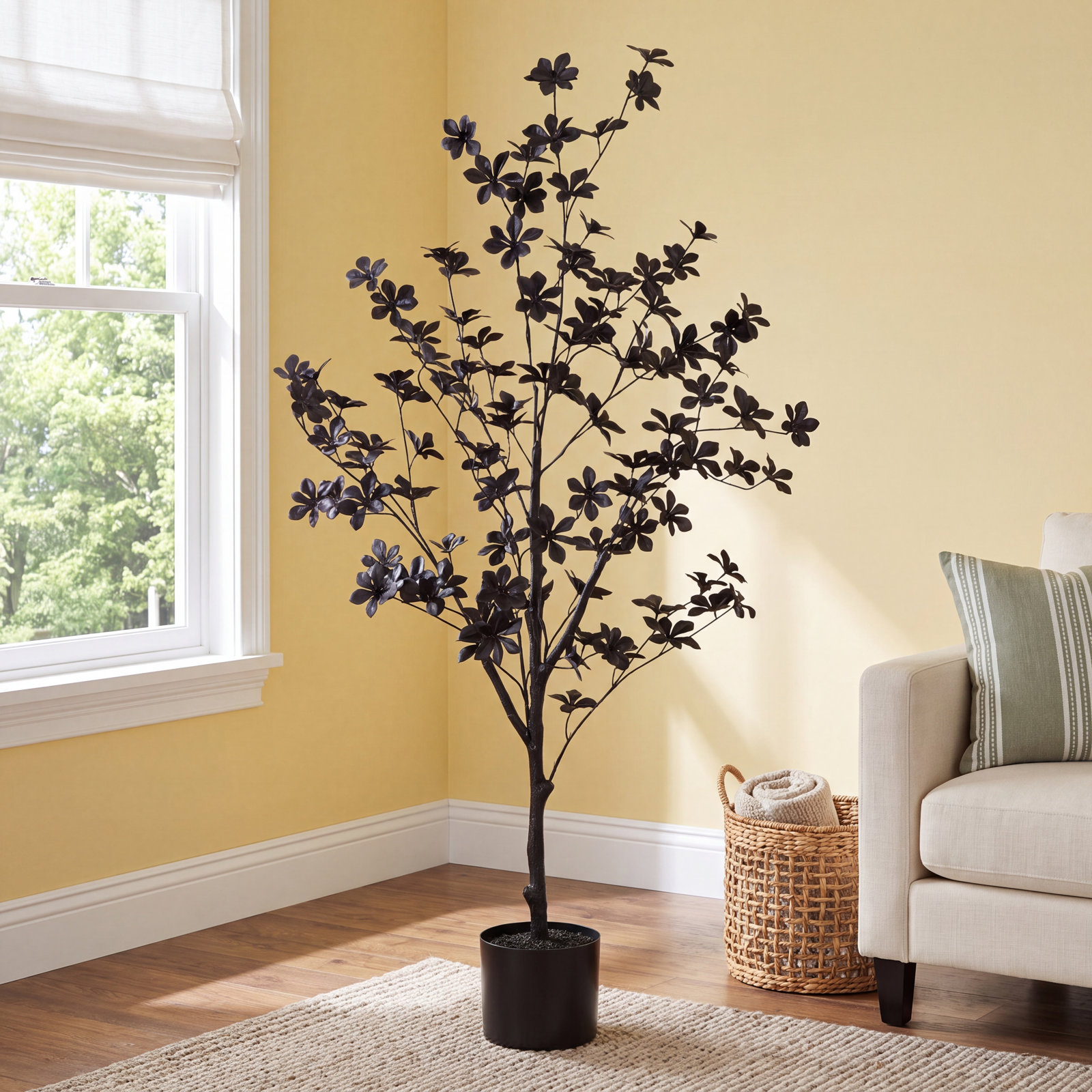 48" Enkianthus Tree in Nursery Pot