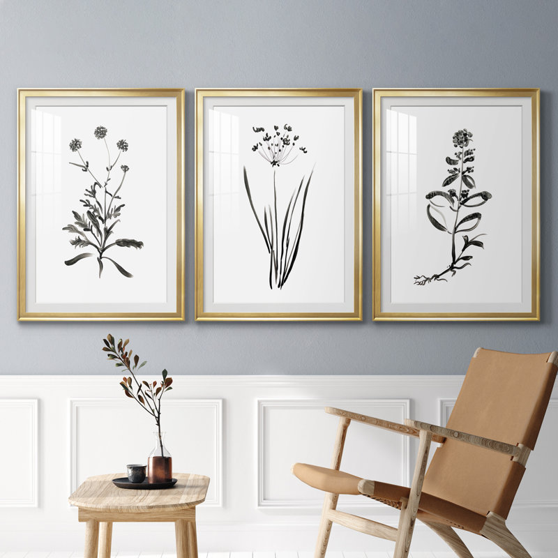Inky Botanical I - ensemble de 3 reproductions d'art graphique, Encadrement doré, H 30,5 po x l 127,5 po x P 1,5 po