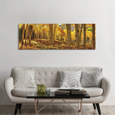 Autumn Aspen Colorado Forest Panorama - Panoramic Print on Canvas