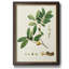 Spring Green Foliage VII - Single Picture Frame Painting on Canvas-1180375838