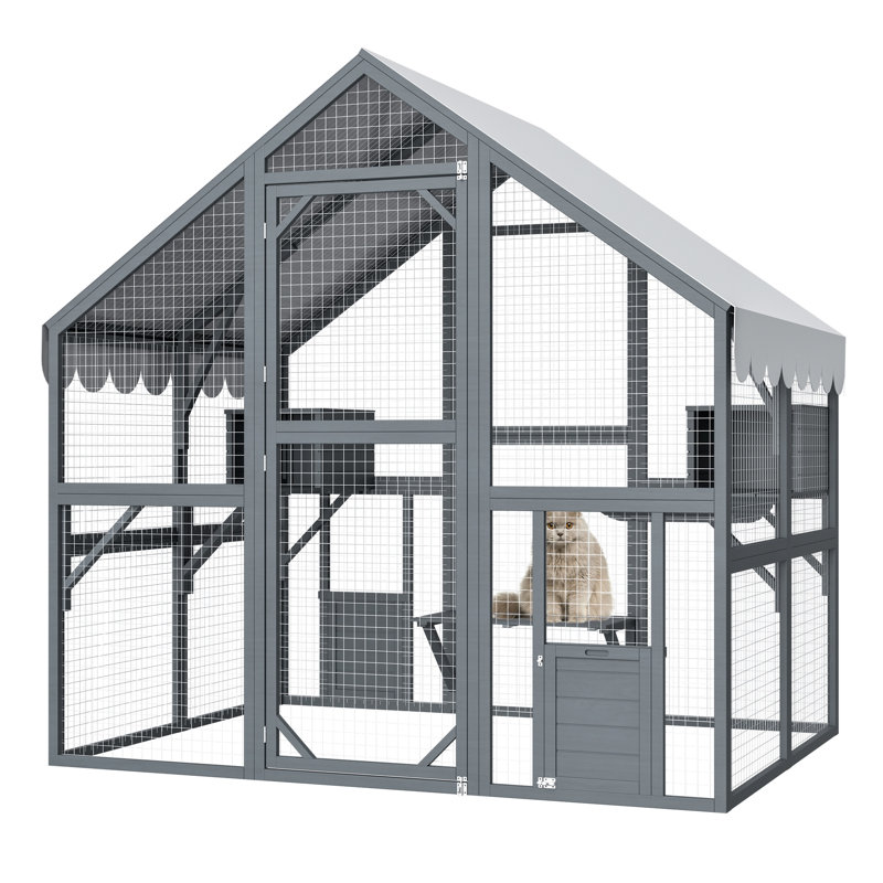 Grande maison pour chat d'extérieur en bois avec couloir, enclos gris et fenêtres panoramique