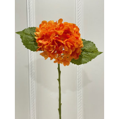 Hydrangea Stem