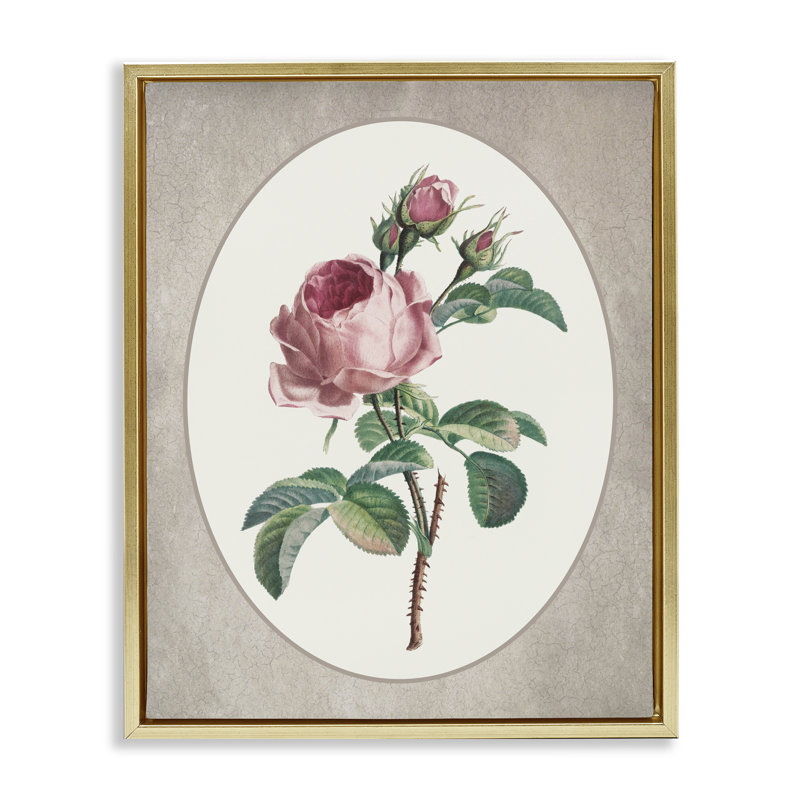 Rose rétro dans un cadre flottant ovale, design par lettré et doublé, H 21 po x l 17 po, Cadre flottant métallique doré