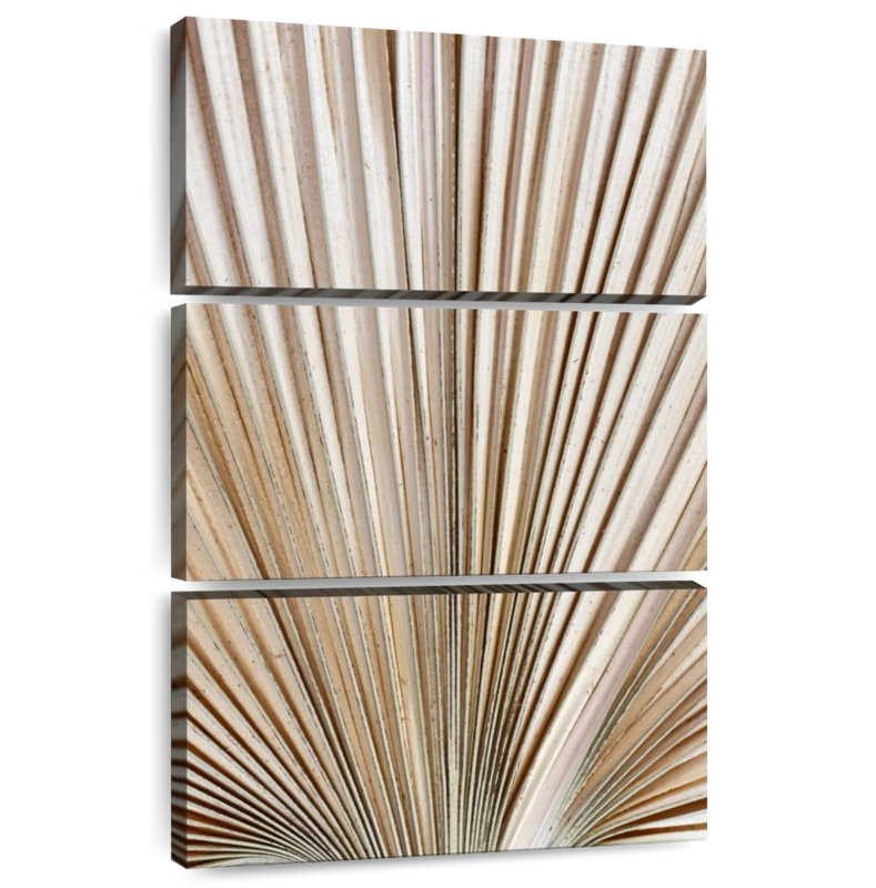 Dried Palm Leaf, 57" H x 36" W