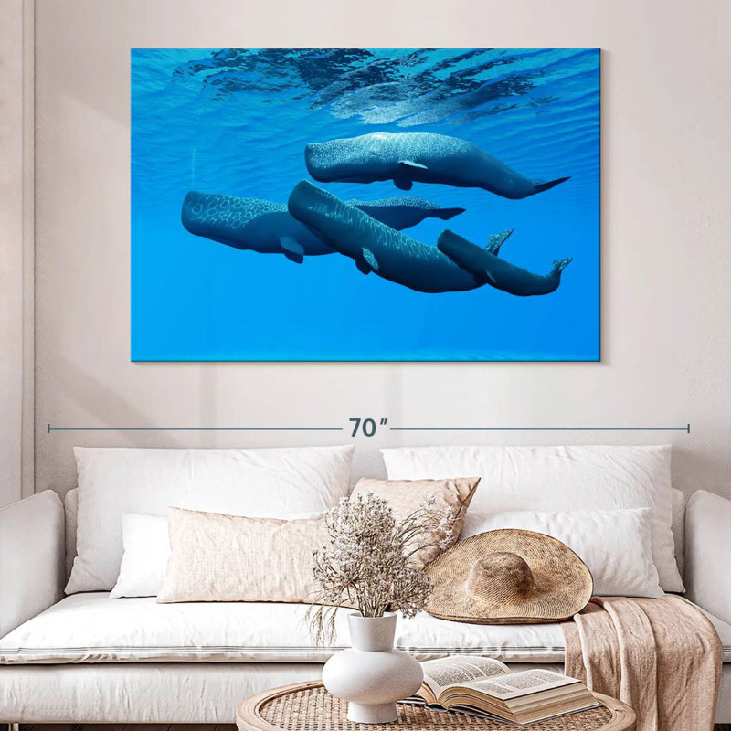 Brampt Sperm Whale Pod