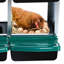Nichoirs pour poules, poulaillers pour 6 poules pondeuses, 6 compartiments, poules pondeuses, nichoirs avec pieds, cage en acier galvanisé à 6 trous pour poules, vert-1832518437