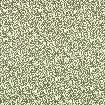 Schumacher x Veere Grenney Folly Fabric