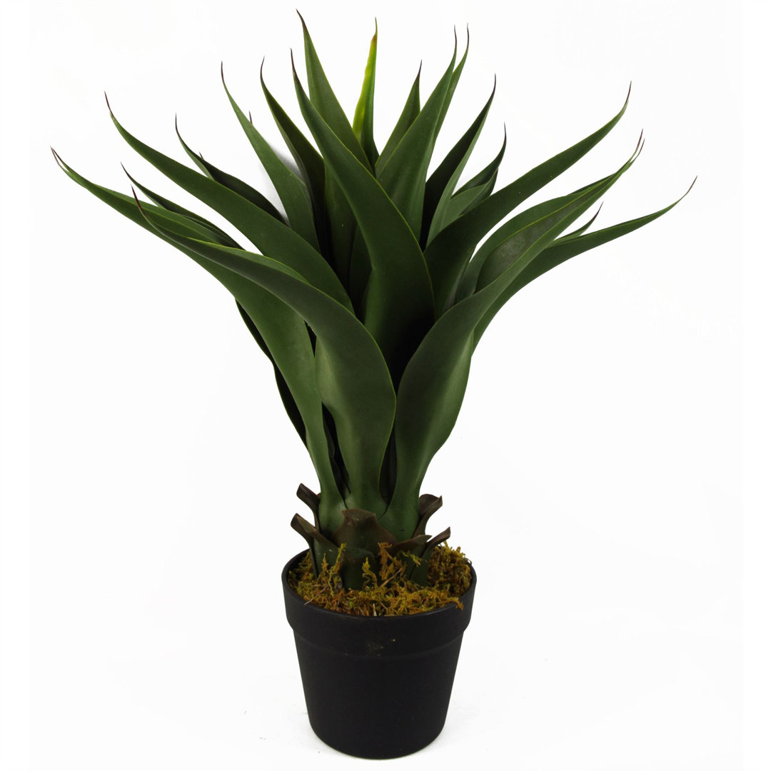 55cm Artificial Yucca Tree in Pot