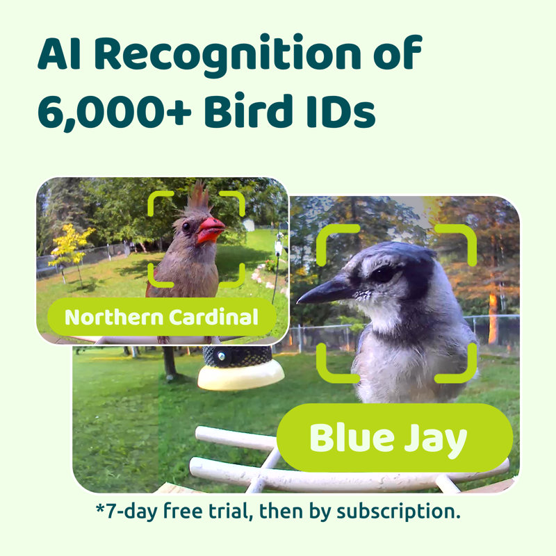 Mangeoire d'oiseaux avec caméra Birdfy Smart