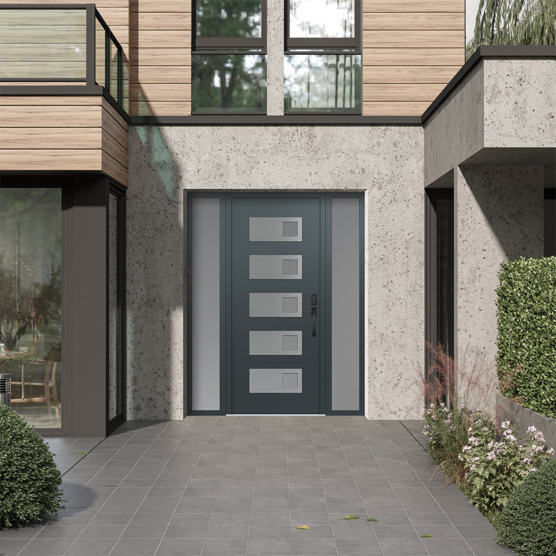 D2 X 80 po Panneau d'entrée en acier argenté anthracite et verre givré anthracite avec 2 portes avant en verre givré