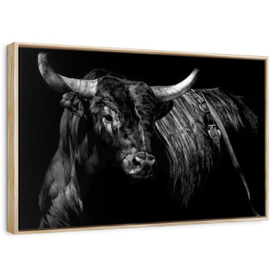 Brindle Rodeo Bull