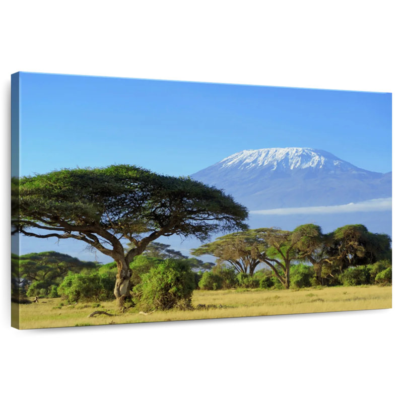 Harnek Kilimanjaro, H 20 po x l 30 po