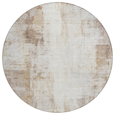 Machine Washable Indoor/Outdoor Eva ACN2171 Modern Rug