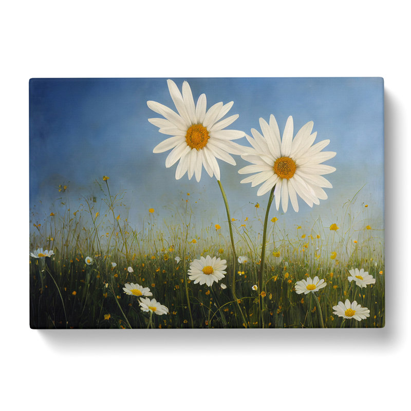 Engaging Daisy Flowers - Wrapped Canvas