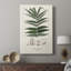 Fougères de la Botanical Society - galerie Cavas sur mesure-747436036