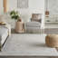 Oriental Area Rug-69979665