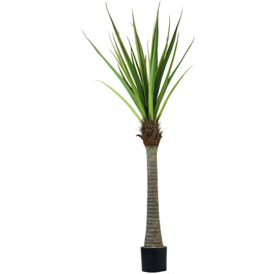 Panama 72'' Faux Succulent Plant in Pot