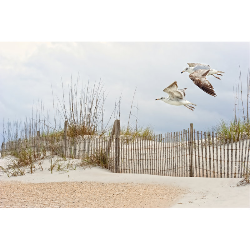 «Water Bird Glimpse I» par P.H. Burchett - Photographie sur toile tendue, H 8 po x l 12 po x P 1,25 po