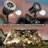 Projection & Strobe Lights