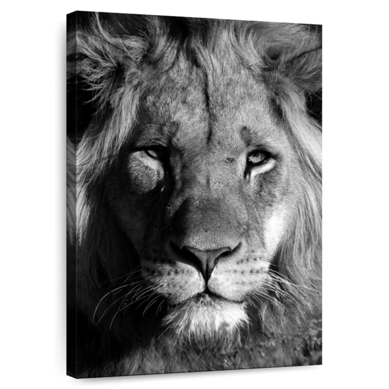 Brampt Monochromatic Lion Head, 12" H x 8" W