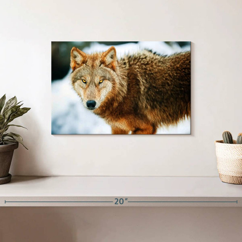 Brampt Brown Wolf, 8" H x 12" W