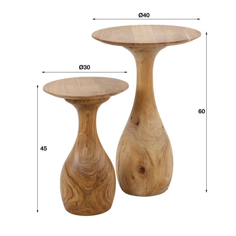 Beecham 2 Piece Side Table Set