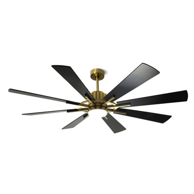 8-Blades with Remote Control and Light Kit Included
