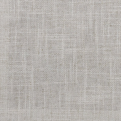 Sherlock Backed Polyester Fabric