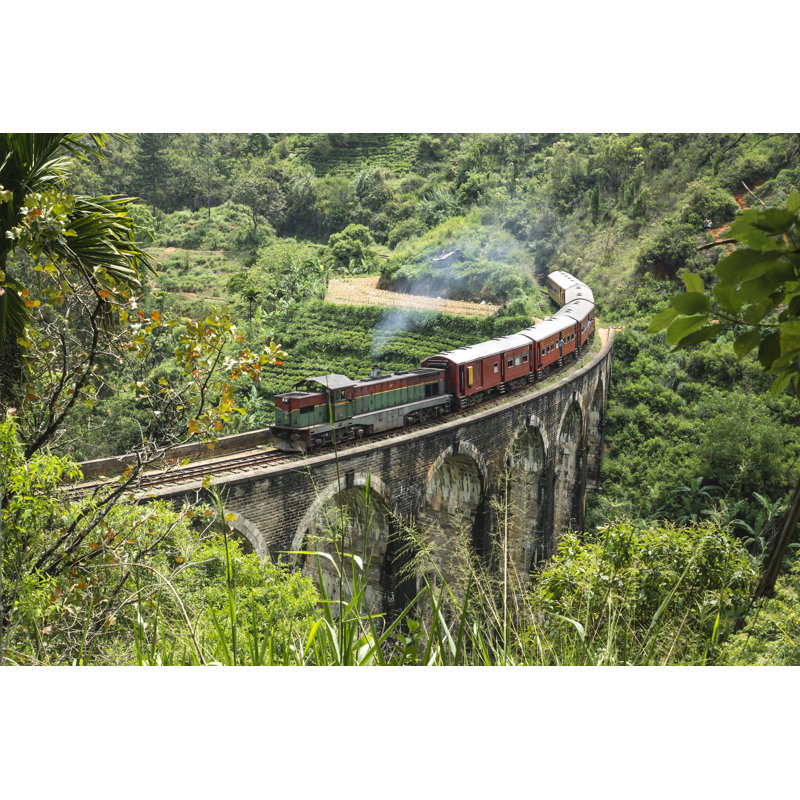 Steam Train In The Jungle by Loeskieboom - Wrapped Canvas Print, 30cm H x 46cm W