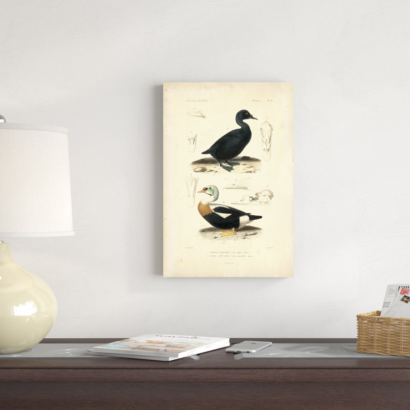 Étude de canard antique I, H 18 po x l 12 po x P 1,25 po