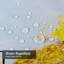 Rideau de douche avec 12 crochets-443719847