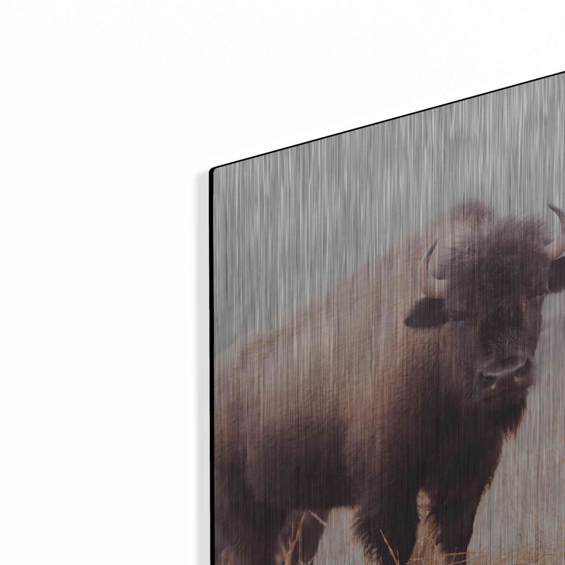 «American Bison V» par Debra Van Swearingen, H 16 po x l 12 po