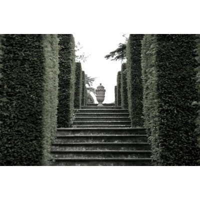 Ascending Elegance Print by Thom Filicia