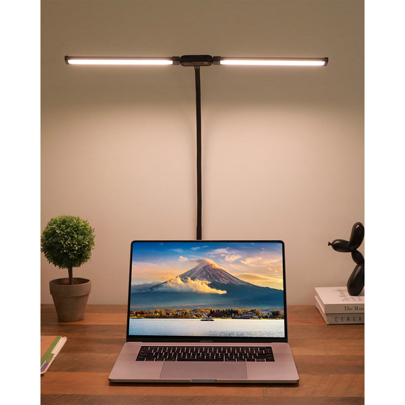 Lampe de bureau à DEL avec pince à double tête avec col de cygne réglable à 360 °