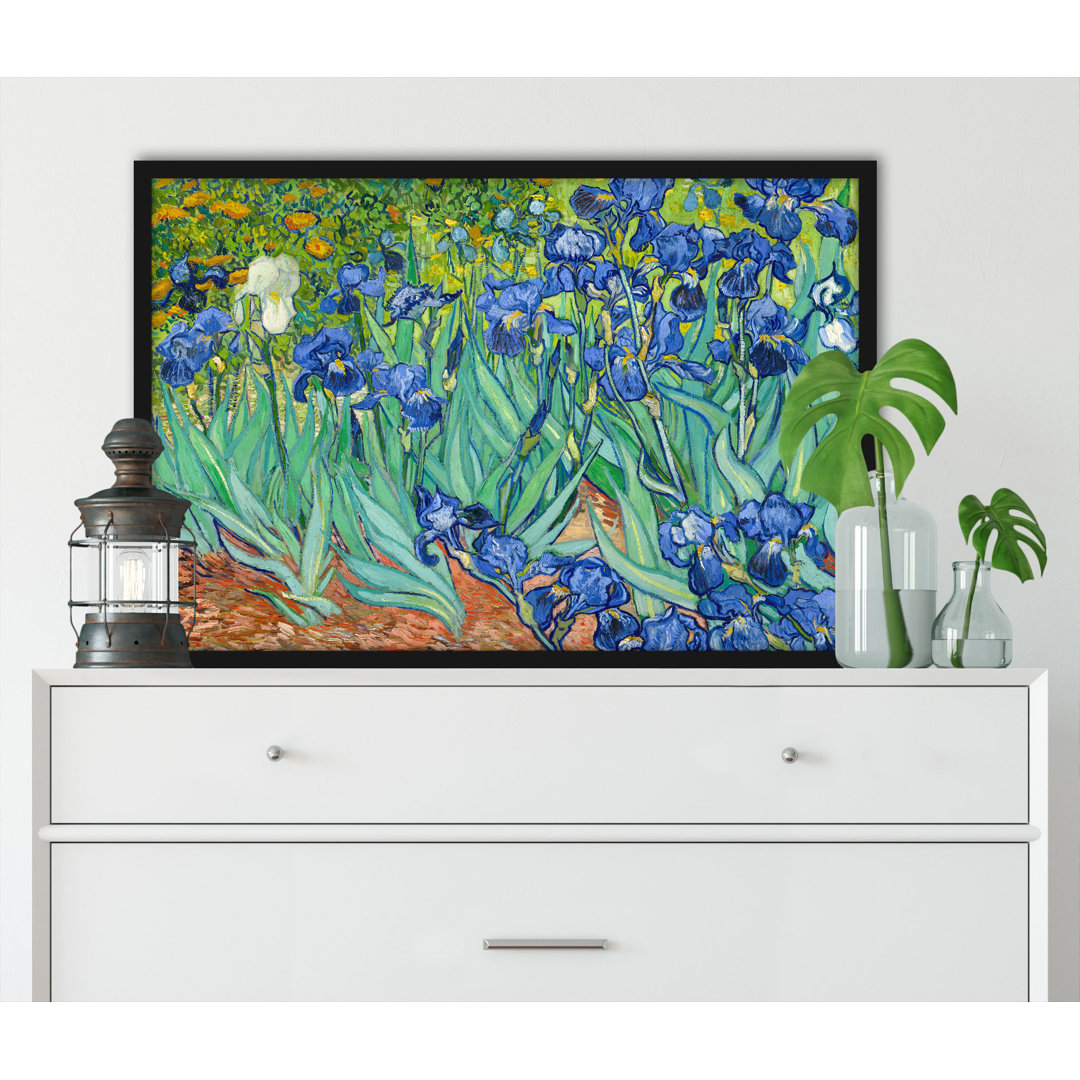 Gerahmter Kunstdruck Irises von Vincent Van Gogh