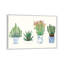 « quatre plantes grassess i » par melissa wang-, reproduction d’art-49920500-53128688