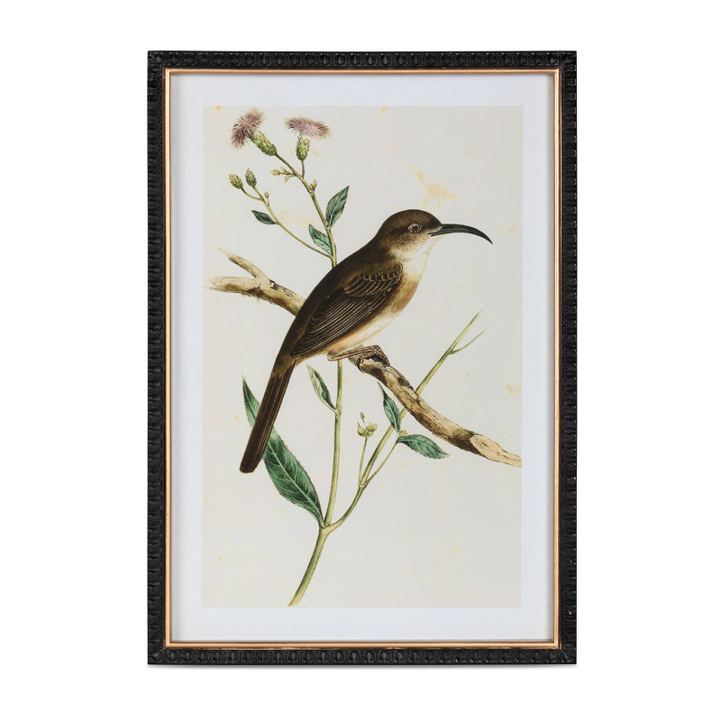 Summer Bird Framed Prints