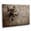 Arbre simple devant un mur - salon d'art mural arbre monochrome-412564529-412564532