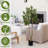 63"H Artificial Olive Tree 1pc/set-1897507573