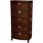 Reyna 5 Drawer Storage Drawer