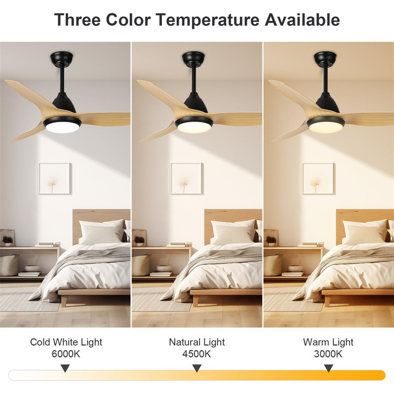 Ceiling Fan with LED Lights