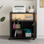 60cm Wide File Cabinet