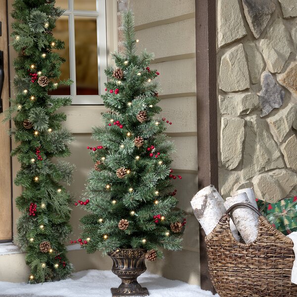 https://assets.wfcdn.com/im/35842641/resize-h600-w600%5Ecompr-r85/9217/92177459/4%27+Lighted+Spruce+Christmas+Tree.jpg