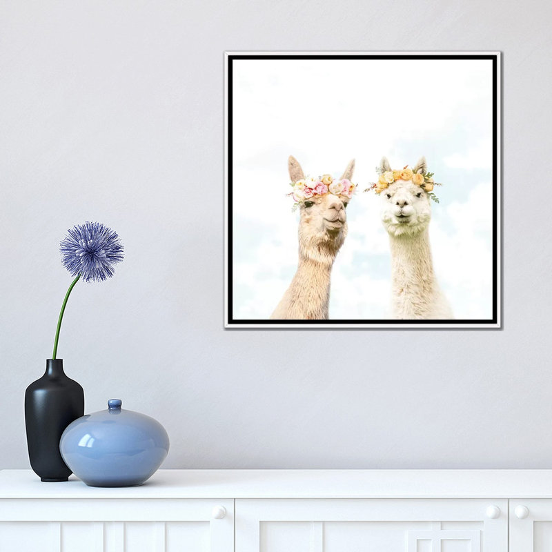 «Alpacas in Bloom» par Erin Summer - reproduction de photo, Aucun mat, H 18 po x l 18 po x 1,5 po, Toile blanche encadrée