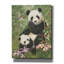 «Panda Paradise» par William Vanderdasson-623676066