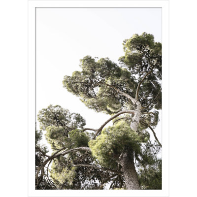 Reshma "Japanese Garden 01" Print
