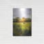 'Daybreak in the Country I' by Donnie Quillen Metal Wall Art,-1446897444