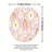 Daisy Rainbow Print 3 Pcs Bathroom Rug Collection Pink