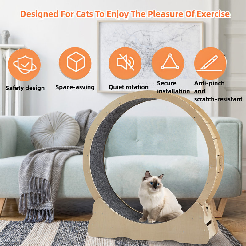 Tapis roulant Erline Cat, H 41,3 po x l 39,4 po x P 13,2 po