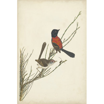 Graceful Birds III - Painting
